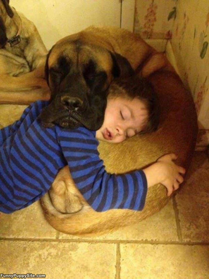 Asleep With My Buddy