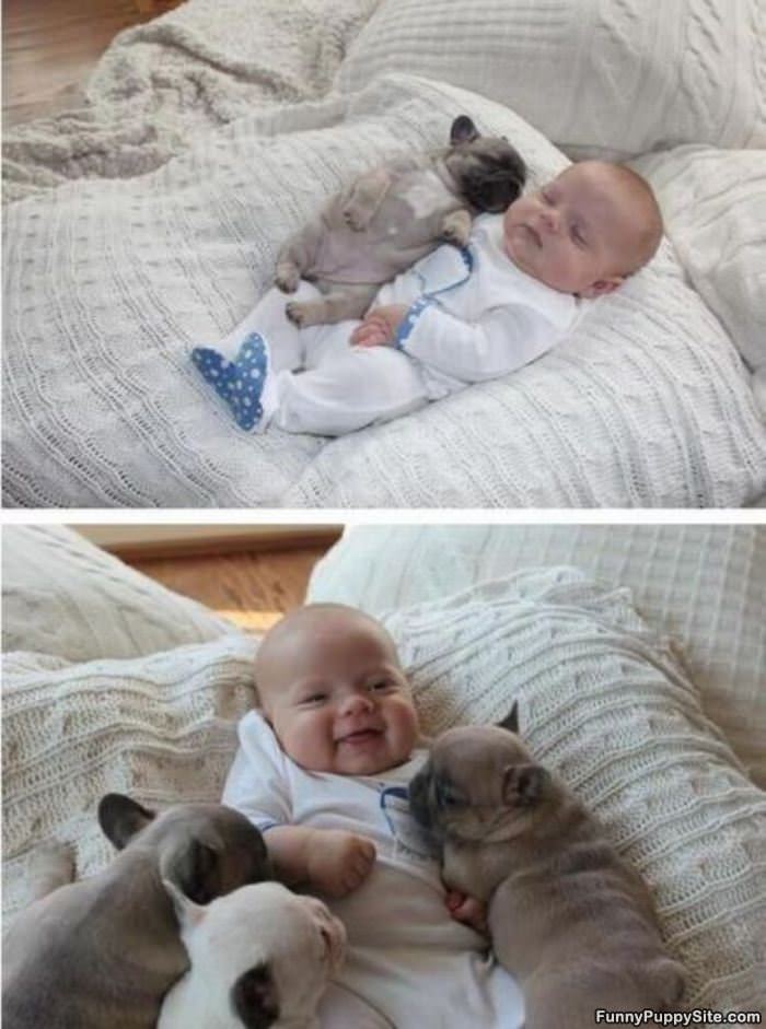 Baby And Puppies