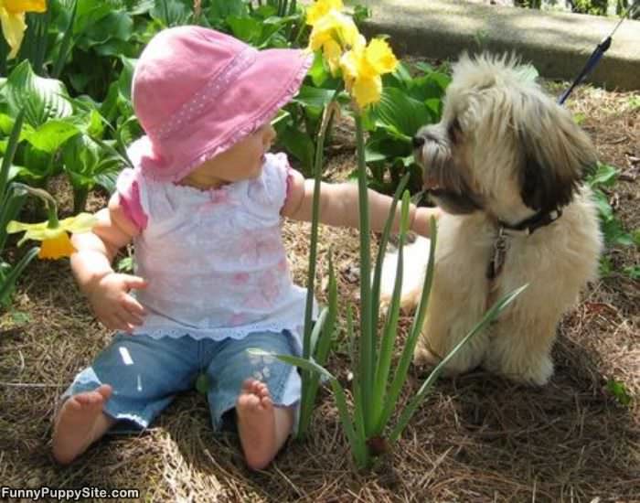 Baby And Puppy