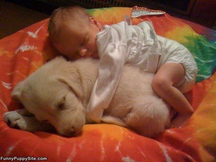 Baby Snuggling With Puppy
