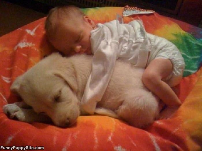 Cuddling With Puppy