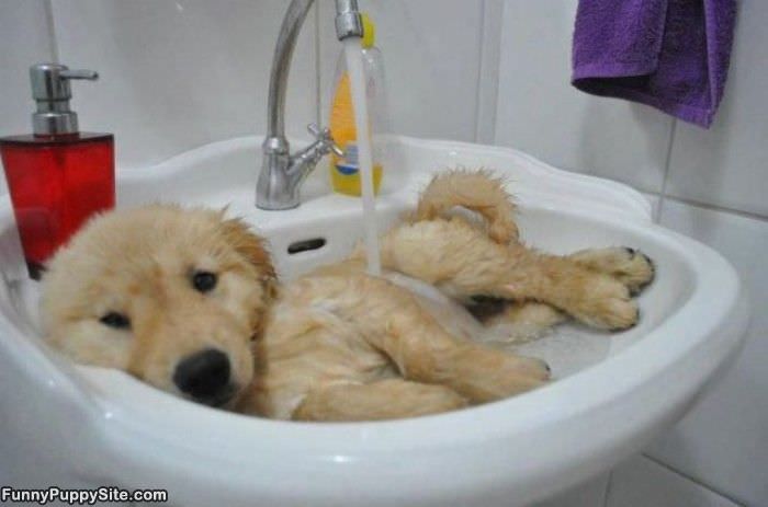 Cutest Bath Time Ever