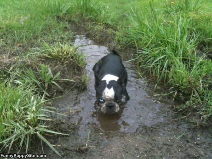 I Love The Mud