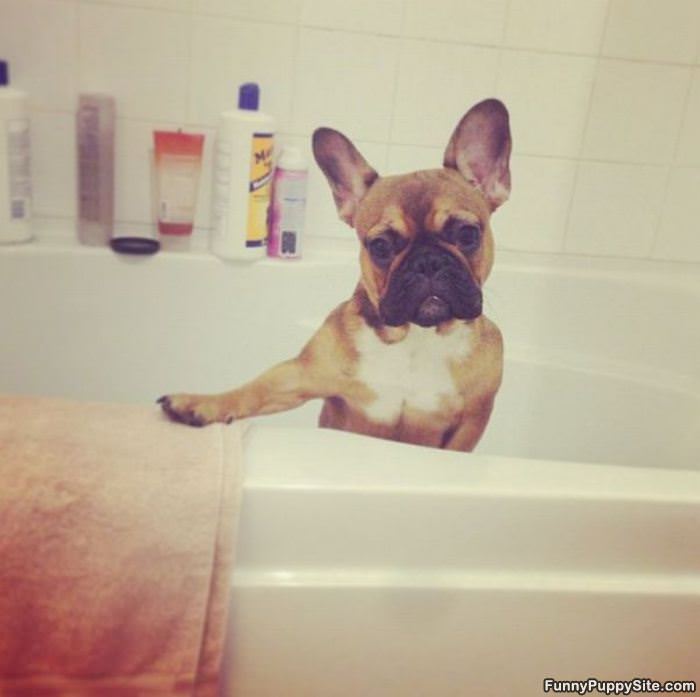 Its My Bath Time Now Ok