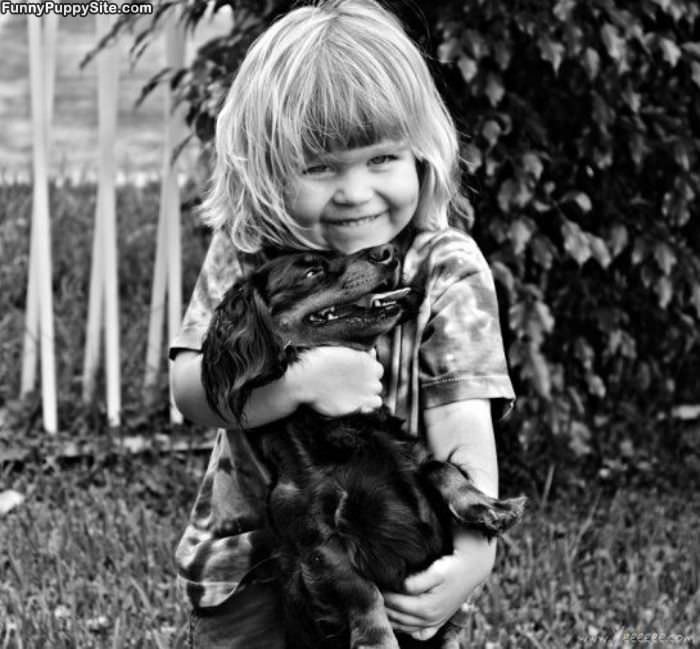 Little Girl With Puppy