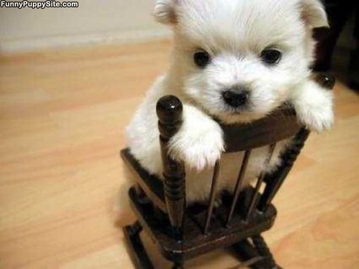 Little Tiny Rocking Chair