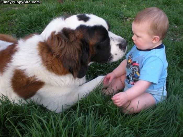 Puppy And Kid