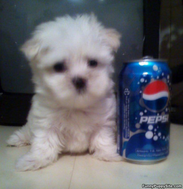 Smaller Than Pepsi