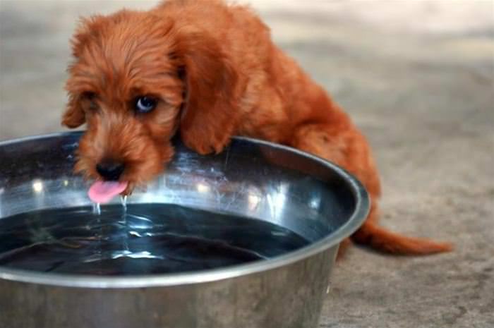 Taking A Sip