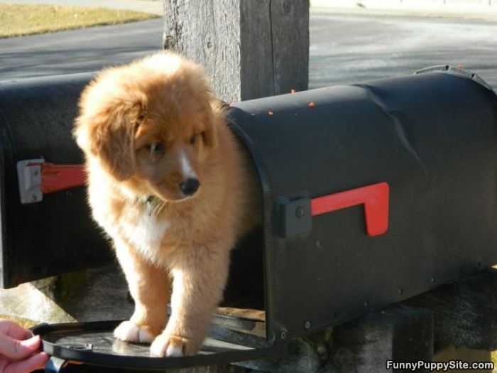 You Have Mail