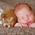 Adorable Baby And Puppy