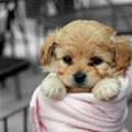 All Bundled Up