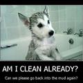 Am I Clean Already