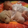 Baby Snuggling With Puppy