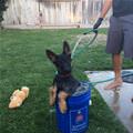 Bucket Of Bath