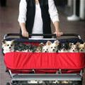 Cart Of Puppies