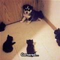 Cornered