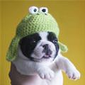 Cute Little Puppy Hat