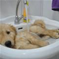 Cutest Bath Time Ever