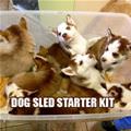 Dog Sled Kit