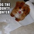 Dog The Bounty Hunter