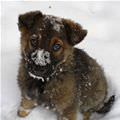 First Time In The Snow