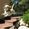 Flying Fetching Puppy