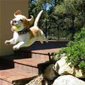 Flying Happy Puppy