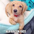 Her Bacon Face