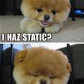 I Haz Static