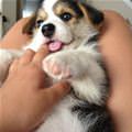 Im Going To Eat Your Finger