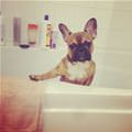 Its My Bath Time Now Ok