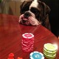 Lets Play Some Poker