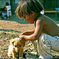 Little Boy And Puppy