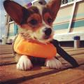 My Little Life Vest