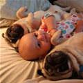 Pug Sandwich