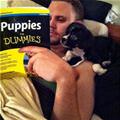 Puppies For Dummies