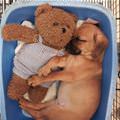 Puppy And Teddy Bear