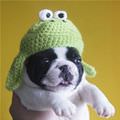 Puppy In A Warm Hat