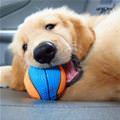 Puppy With His Ball