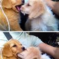 Started With A Kiss