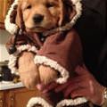 Very Bundled Up