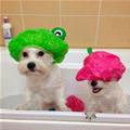 We Are Ready For Our Bath