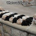 Weird Piano