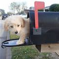 You Got Mail