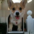 You Got Mail